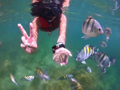 Passageira fazendo mergulho de snorkel nas águas cristalinas de Búzios em parada do passeio de barco