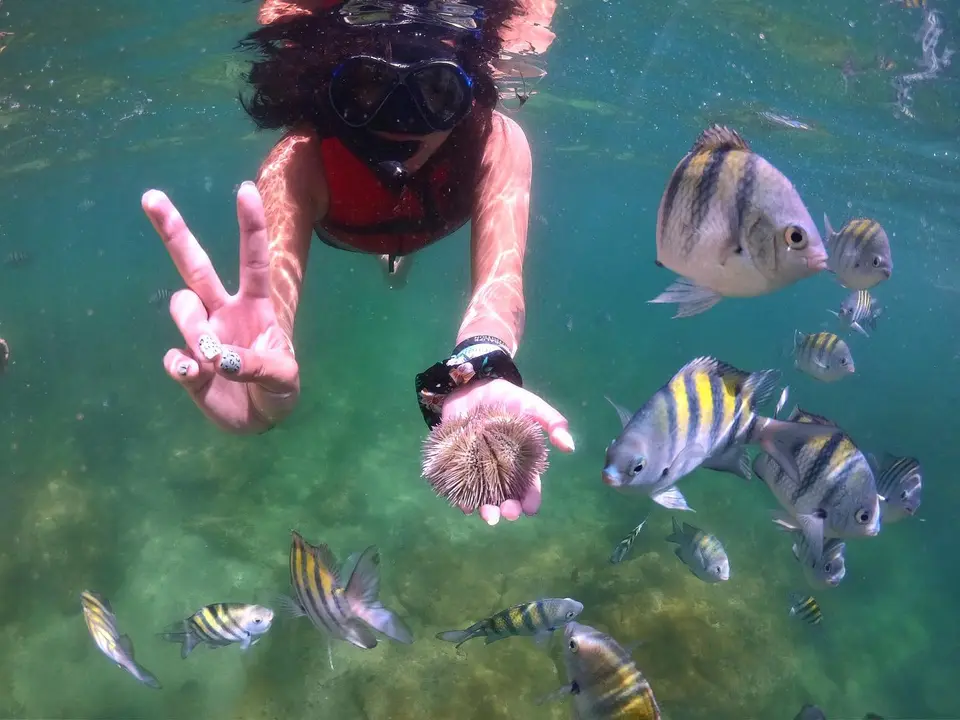 Passageira fazendo mergulho de snorkel nas águas cristalinas de Búzios em parada do passeio de barco
